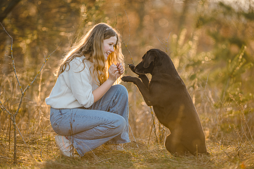 Fellnasenfotografie Hundefotografie Minishooting Erfurt Thueringen Deutschland Labrador Hundeportrait Hundefotograf 2
